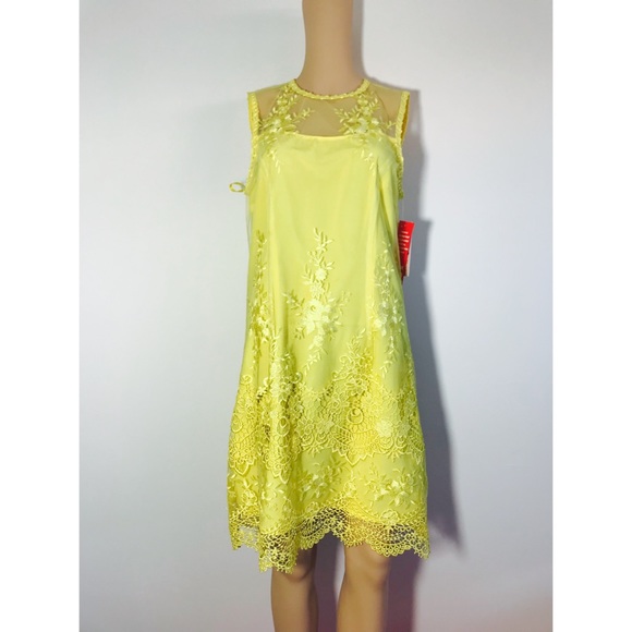 Nannette Dresses & Skirts - sheer Lacey dress